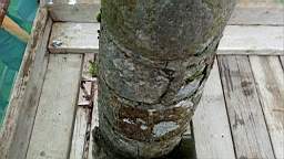 stcronans 1190.jpg